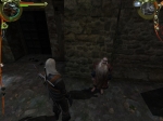 Wied�min - Screeny