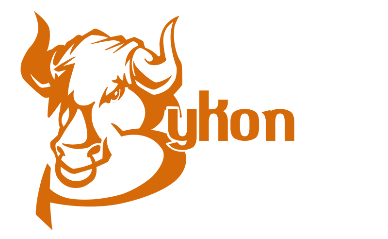 Bykon