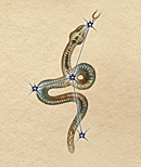 Wąż – Oblivion