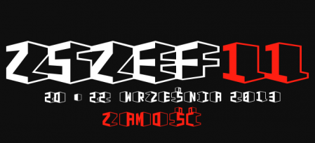 zszef 2013, banner