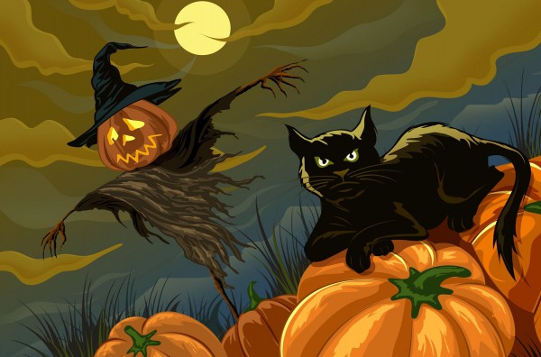 kot, halloween