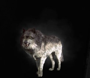 wilk, wiedźmin 3