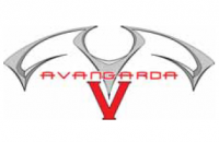 Avangarda V