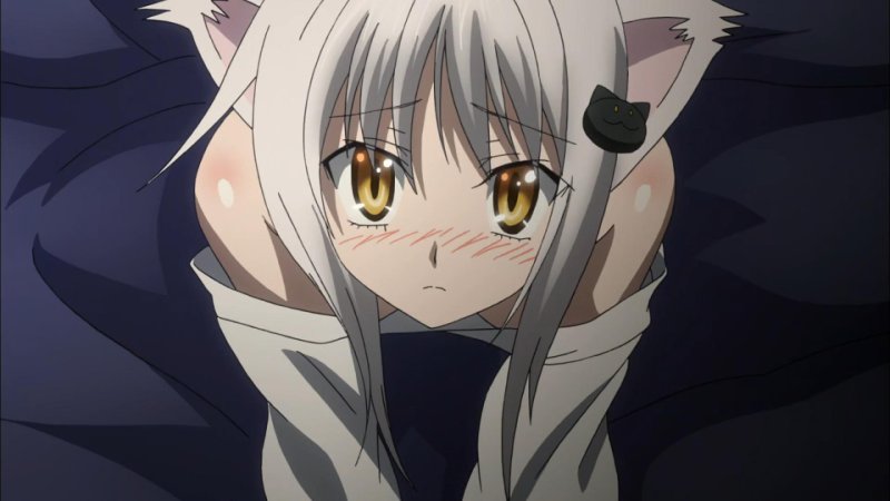 High School DxD